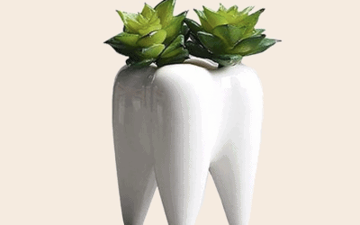 Pourquoi le plombage dentaire est nécessaire en cas de carie ?