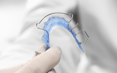 Qu’est-ce qu’un faux palais et à quoi sert-il ?