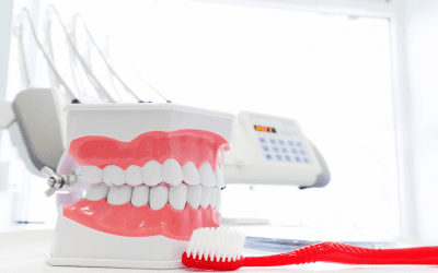 Quelle brosse à dents utiliser pour un dentier ?